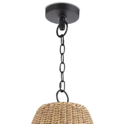 VND7751 Regina Andrew Design Inc Annabeth Outdoor Pendant