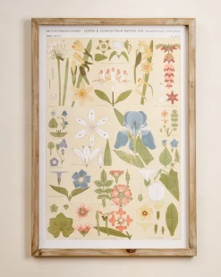 VND8679 Wares, LLC Antique Botanical Study II Framed Art