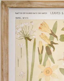 VND8679 Wares, LLC Antique Botanical Study II Framed Art