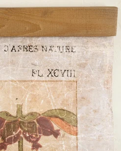 VND8679 Wares, LLC Antique Botanical Study II Tapestry