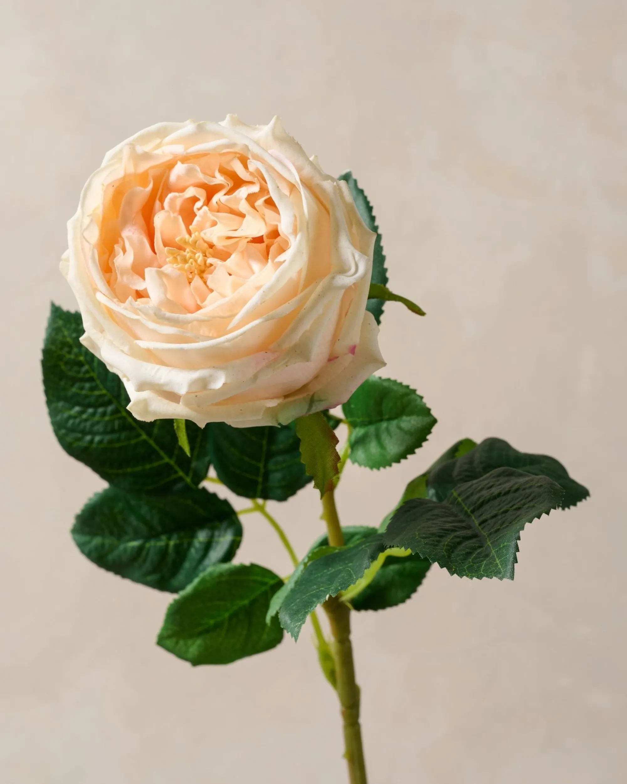VND0078 K & K Interiors, Inc. Austin Rose Stem