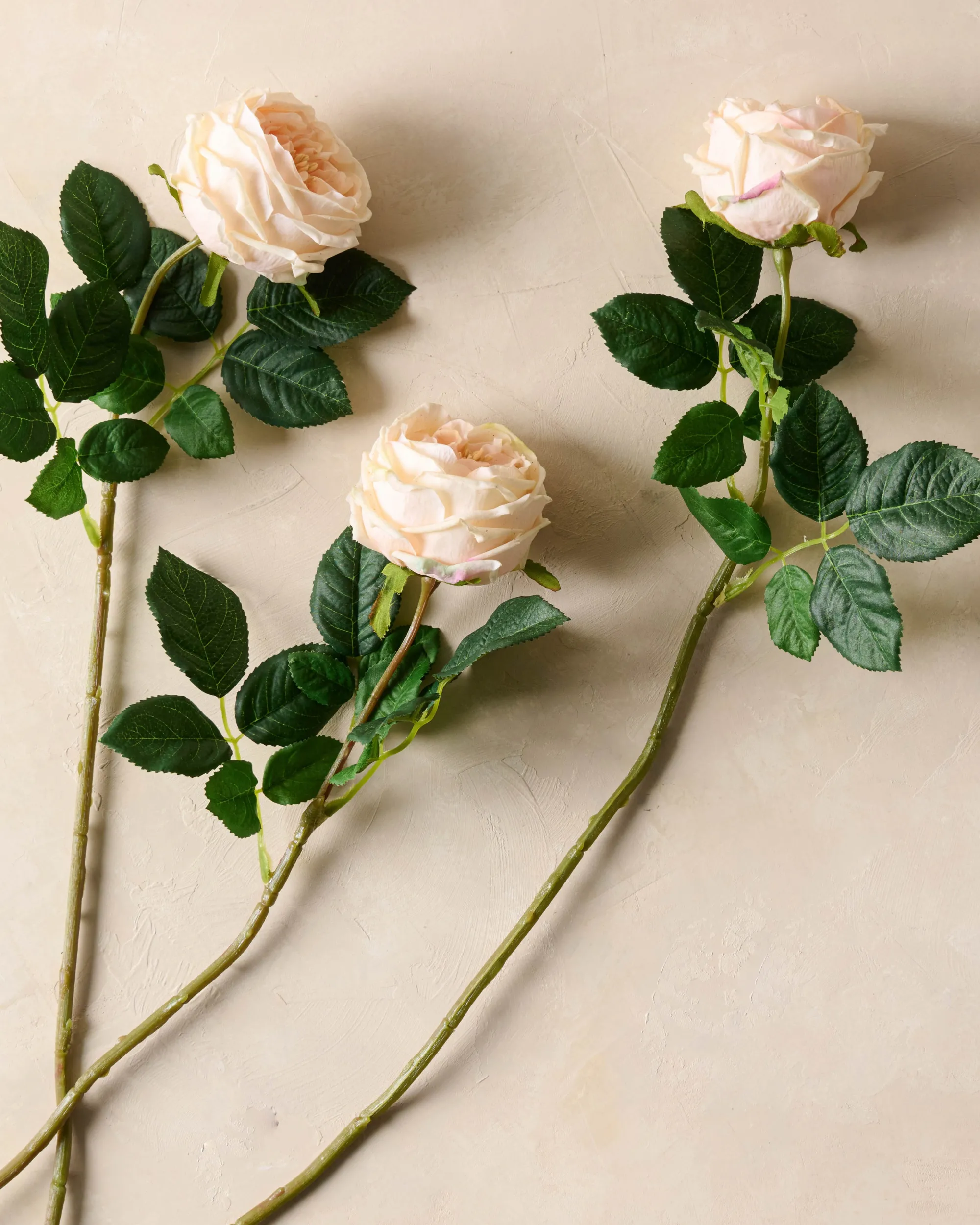 VND0078 K & K Interiors, Inc. Austin Rose Stem