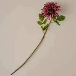 VND0078 K & K Interiors, Inc. Autumnal Dahlia