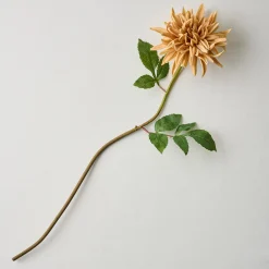 VND0078 K & K Interiors, Inc. Autumnal Dahlia