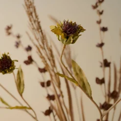 VND8121 Allstate Floral, Inc Autumnal Mixed Floral Bouquet