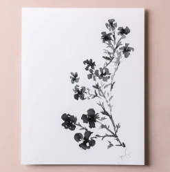 VND5090 Thomas Graphics Inc. Botanical Watercolor Print