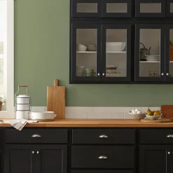 VND0188 Kilz - Masco Coatings Celery Seed - Premium Interior Paint