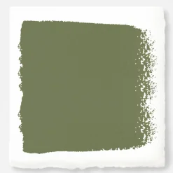 VND0188 Kilz - Masco Coatings Celery Seeds - Classic Interior Paint