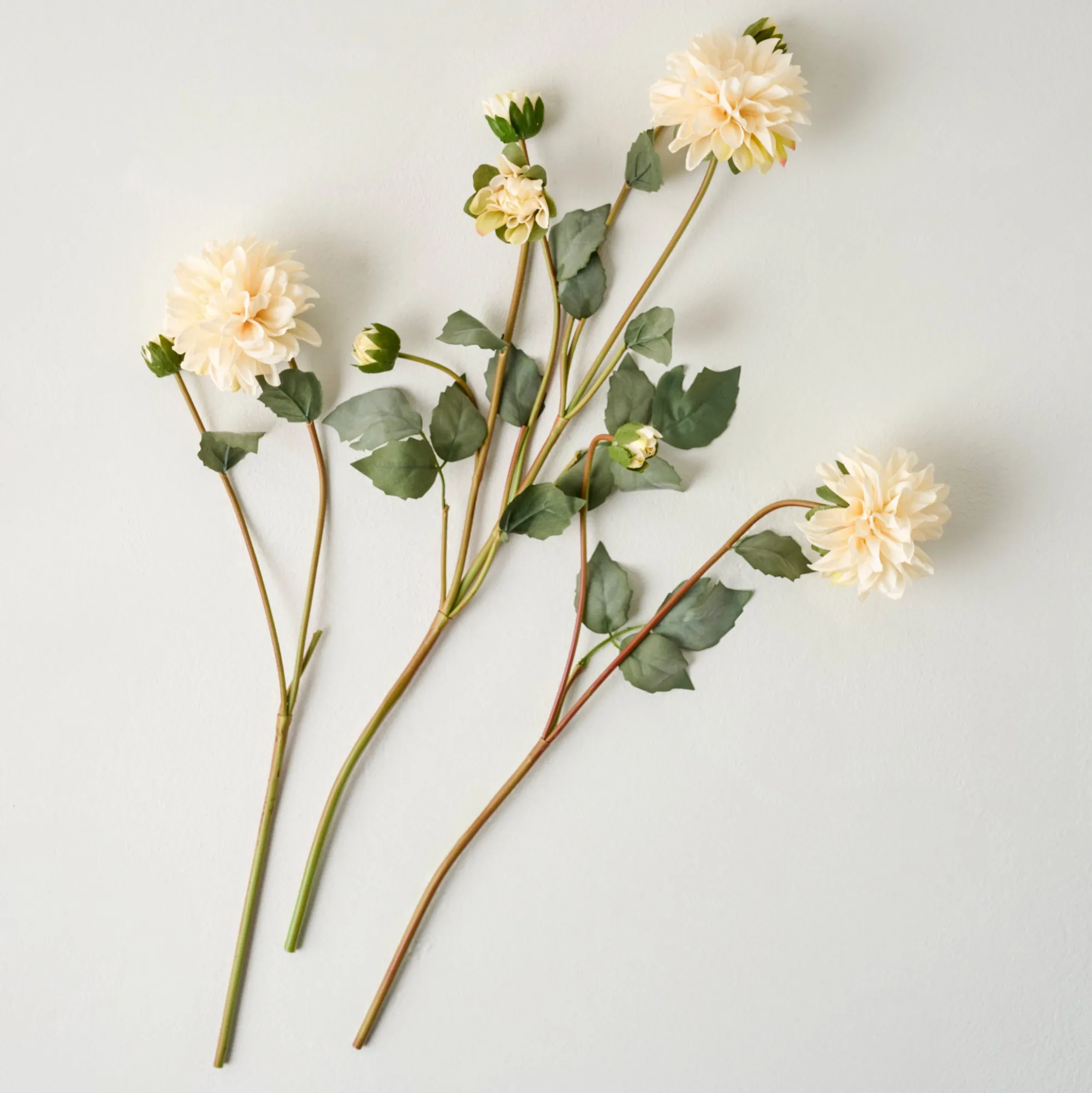 VND0078 K & K Interiors, Inc. Dahlia Bloom Bundle