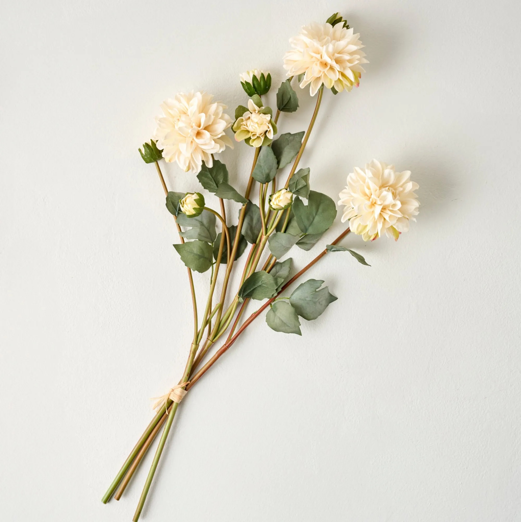 VND0078 K & K Interiors, Inc. Dahlia Bloom Bundle