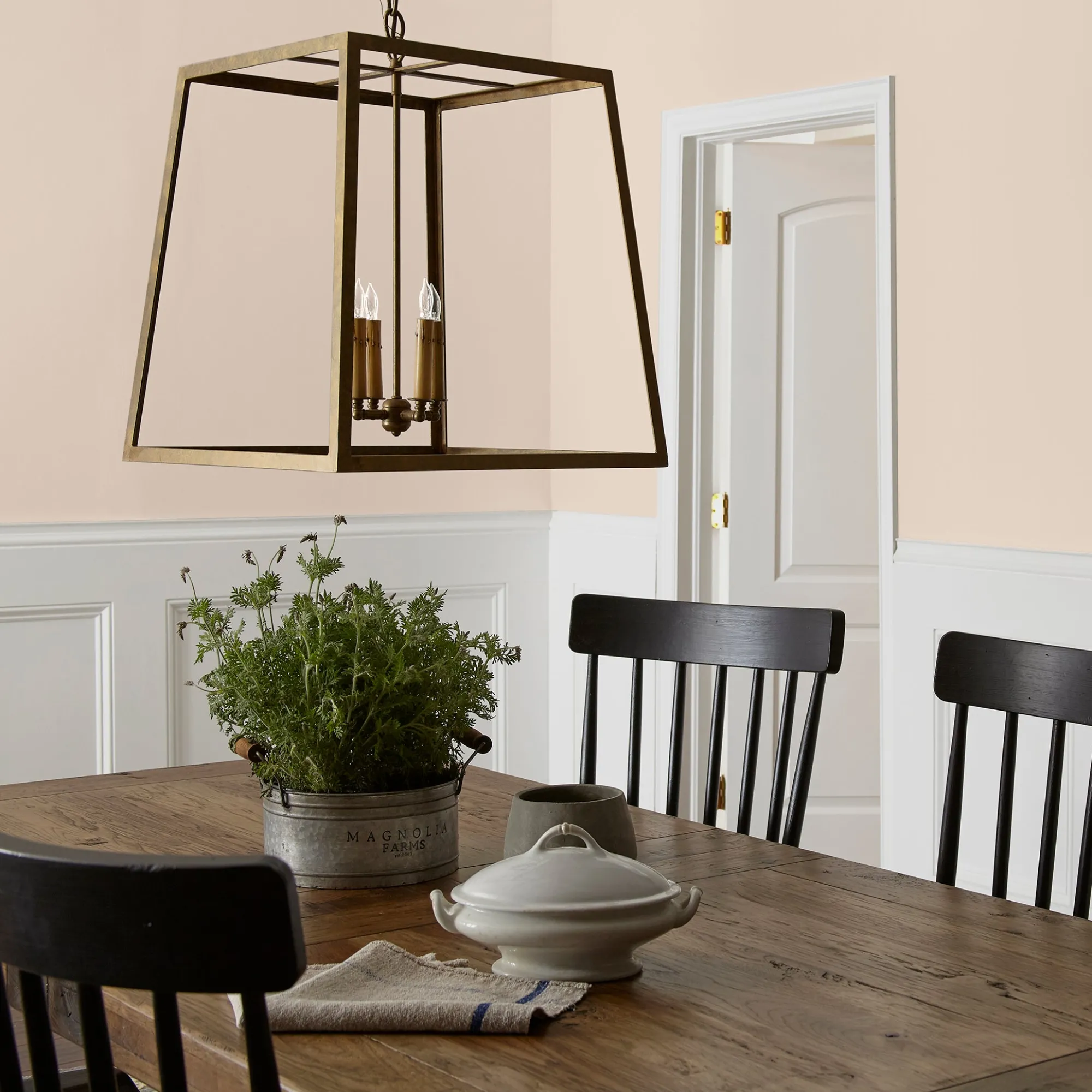 VND0188 Kilz - Masco Coatings Dutch Tulip - Premium Interior Paint