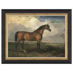 VND6204 Soicher Marin of Florida Equestrian Study