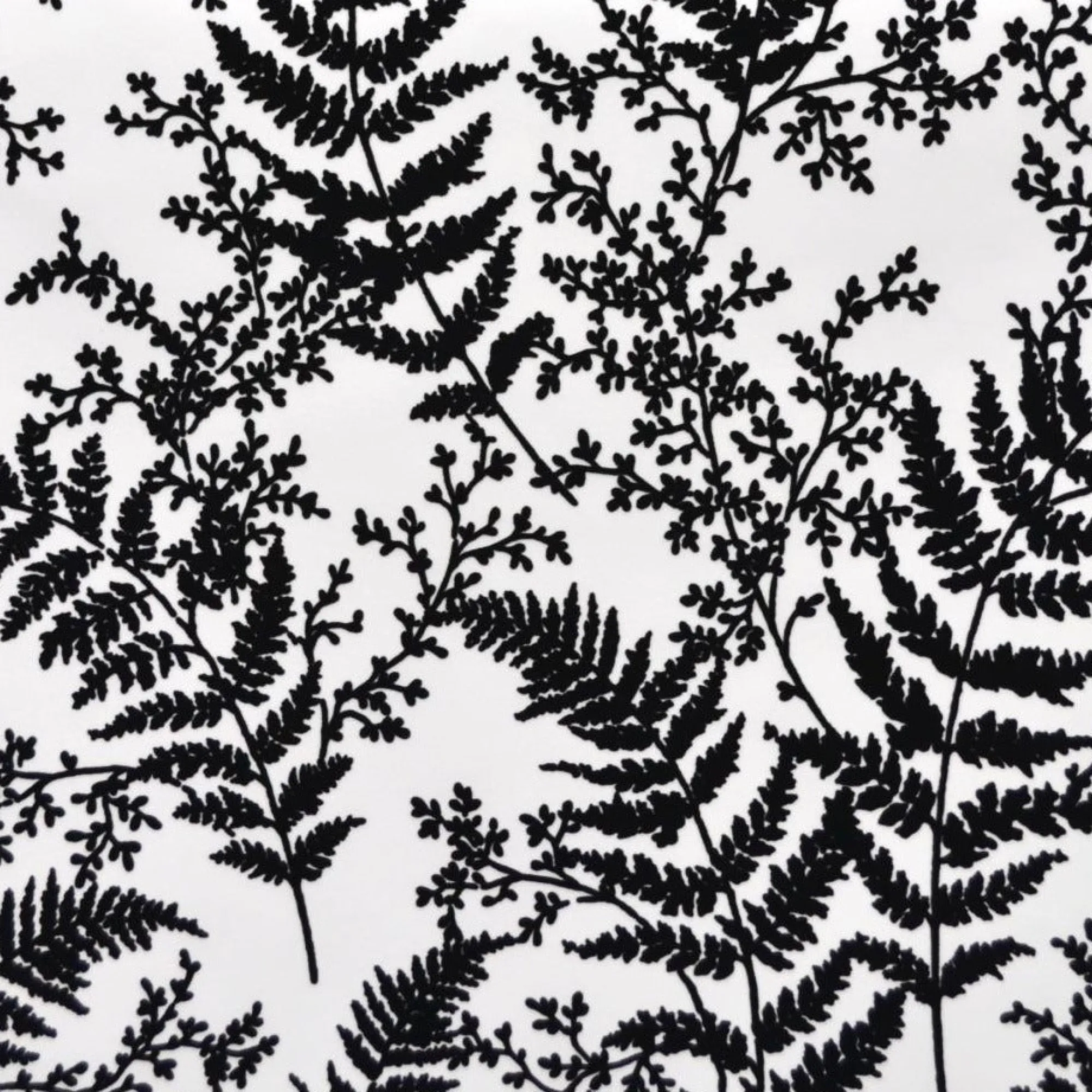 VND2730 York Wallcoverings Forest Fern Wallpaper