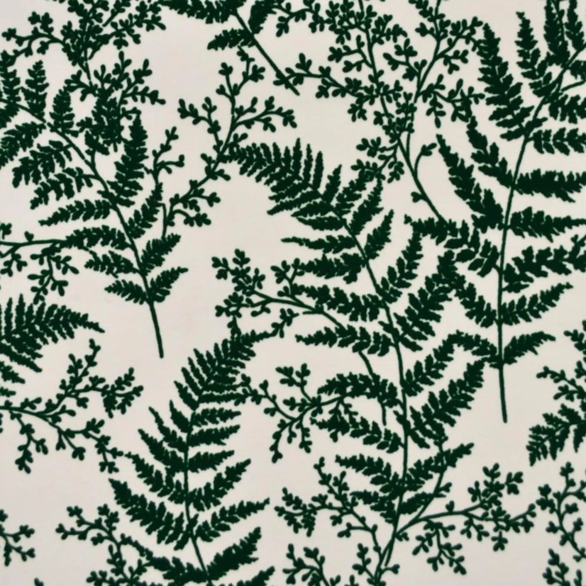 VND2730 York Wallcoverings Forest Fern Wallpaper