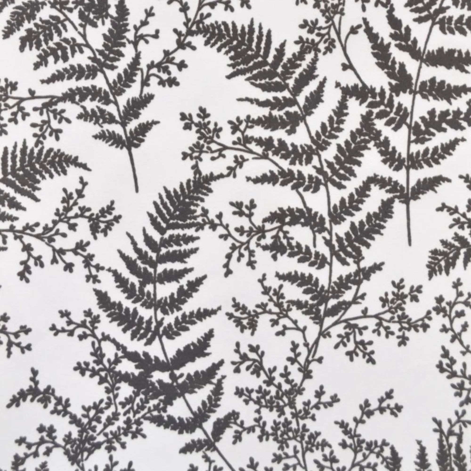 VND2730 York Wallcoverings Forest Fern Wallpaper