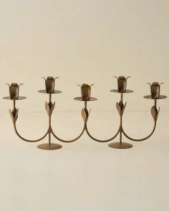 VND6628 Quality Products of India Forged Tulip Candelabra
