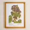 VND8679 Wares, LLC Fresh Blackberry Botanical Framed Print