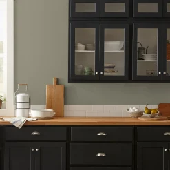 VND0188 Kilz - Masco Coatings Garden Party - Premium Interior Paint