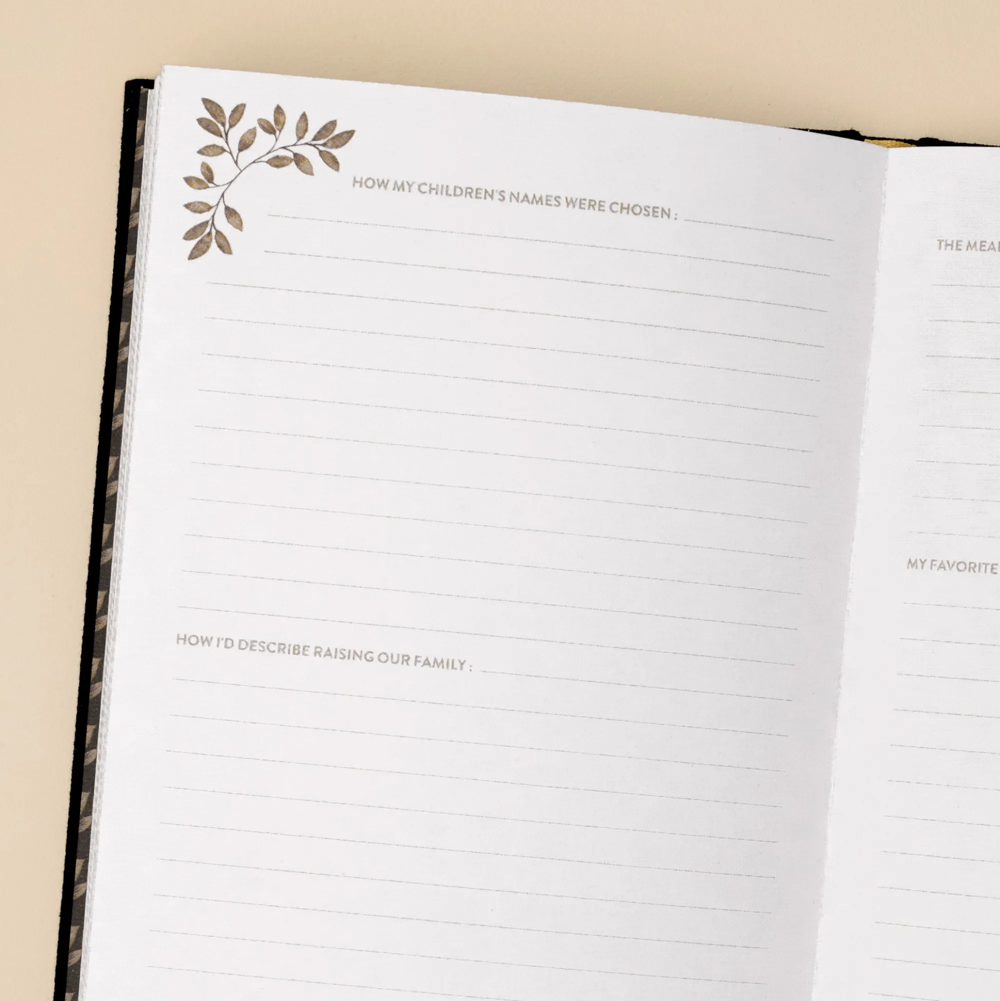 VND6794 Penguin Random House Grandpa's Story Journal