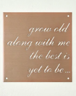 VND0312 JDH Iron Designs LLC Grow Old Along With Me Sign