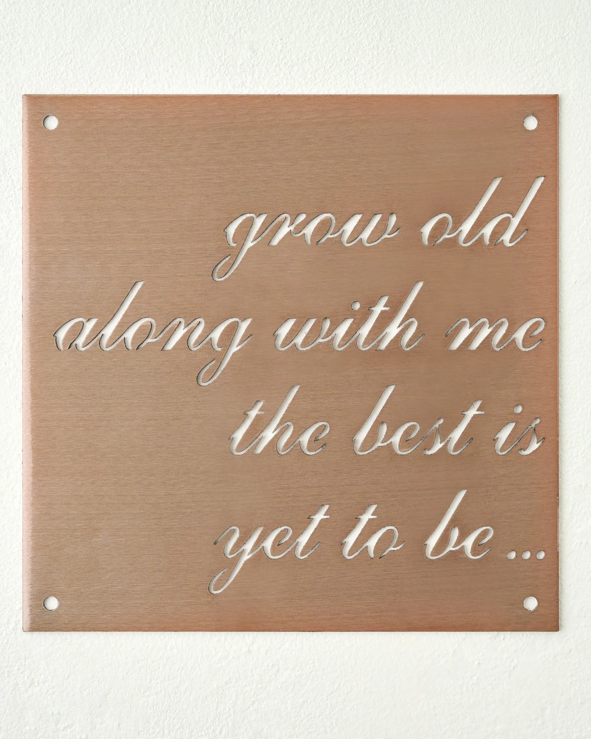VND0312 JDH Iron Designs LLC Grow Old Along With Me Sign