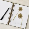 VND8066 Paper Ink and Earth LLC Herbarium Journal