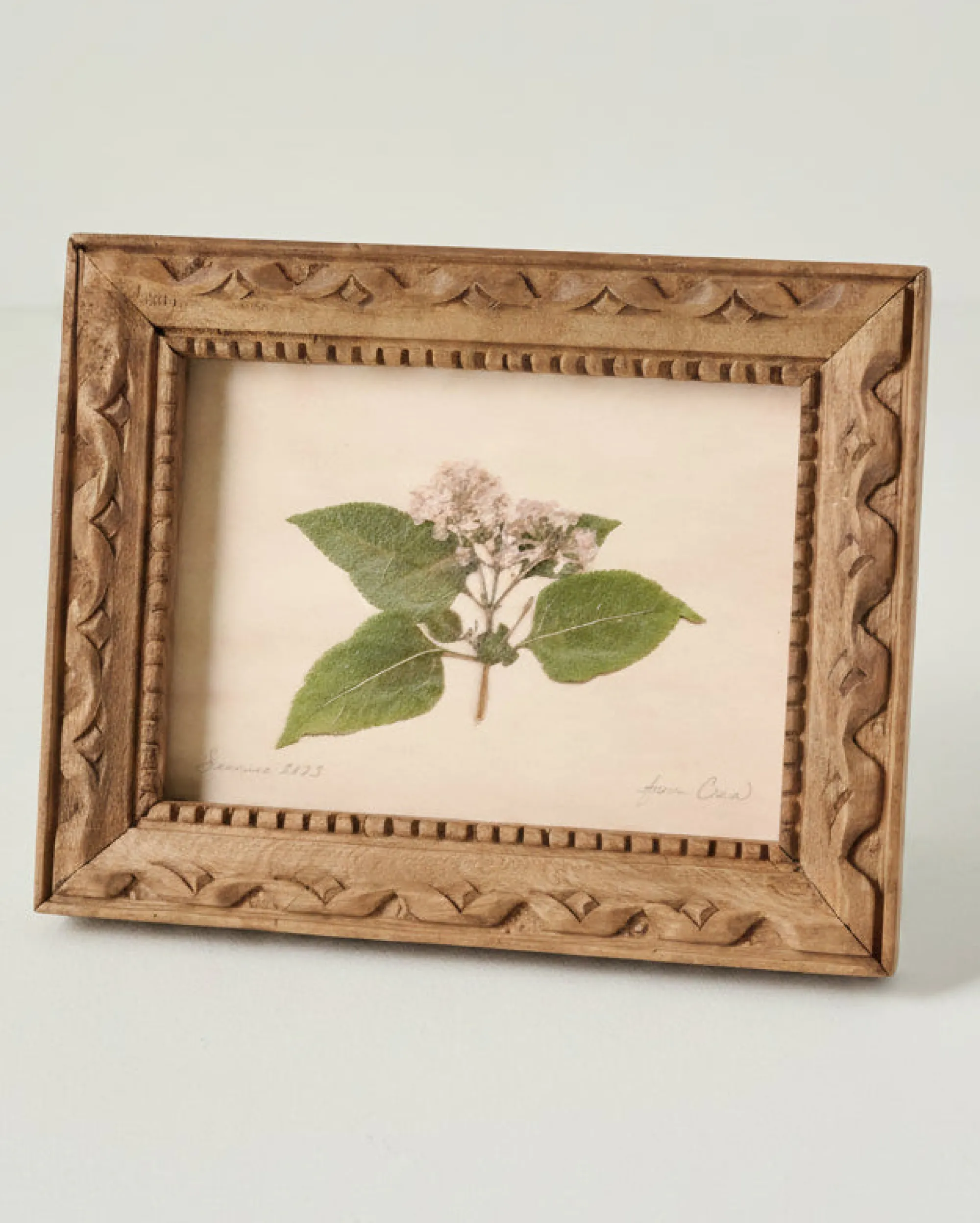VND5151 Peel Enterprises Inc Jo's Hand Pressed Herbarium Prints - "From Crew" '23