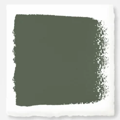 VND0188 Kilz - Masco Coatings Lemon Leaves - Premium Interior Paint