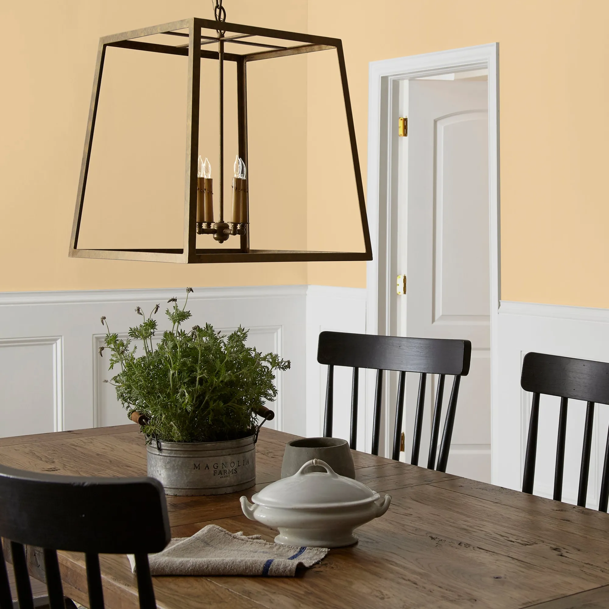 VND0188 Kilz - Masco Coatings Lemony - Classic Interior Paint