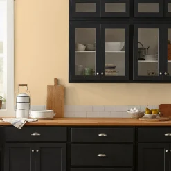 VND0188 Kilz - Masco Coatings Lemony - Premium Interior Paint
