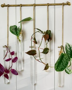 VND0025 Creative Co-op Inc (Bloomingville USA) Lila Hanging Glass Wall Vase