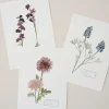 VND5090 Thomas Graphics Inc. Magnolia Garden Card Set