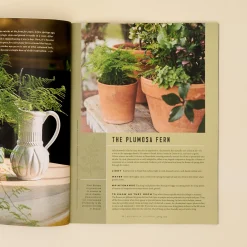 VND2694 Meredith Corporation Magnolia Journal Spring 2026