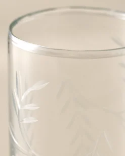 VND7004 BKG OVERSEAS Marlowe Etched Glass Tumbler