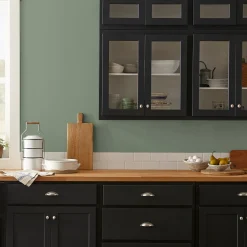 VND0188 Kilz - Masco Coatings Olive Grove - Premium Interior Paint