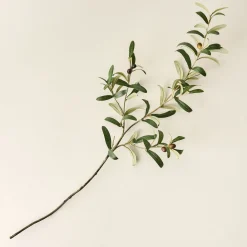 VND7816 UCP INTERNATIONAL CO., LTD Olive Leaf Stem