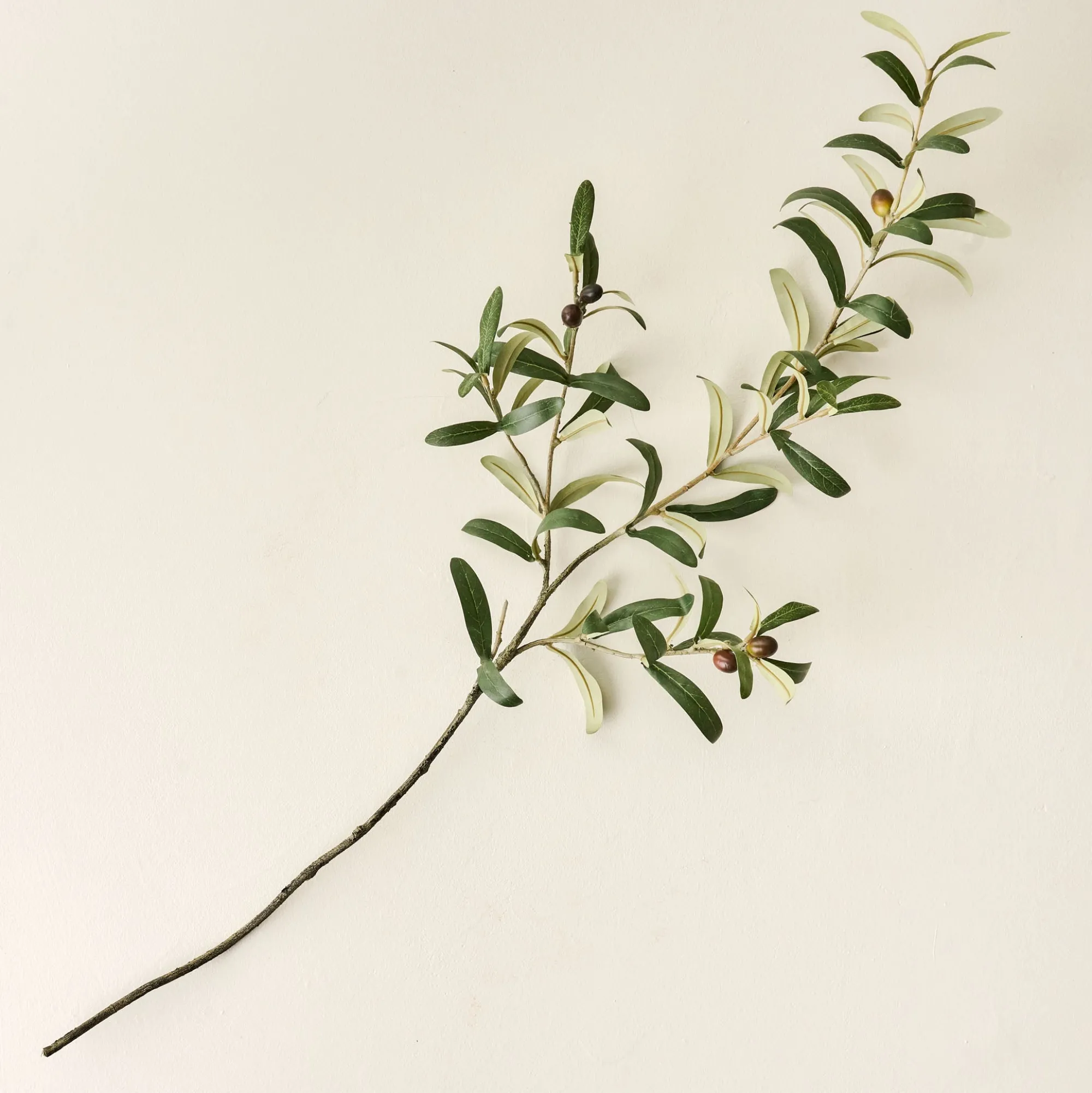 VND7816 UCP INTERNATIONAL CO., LTD Olive Leaf Stem
