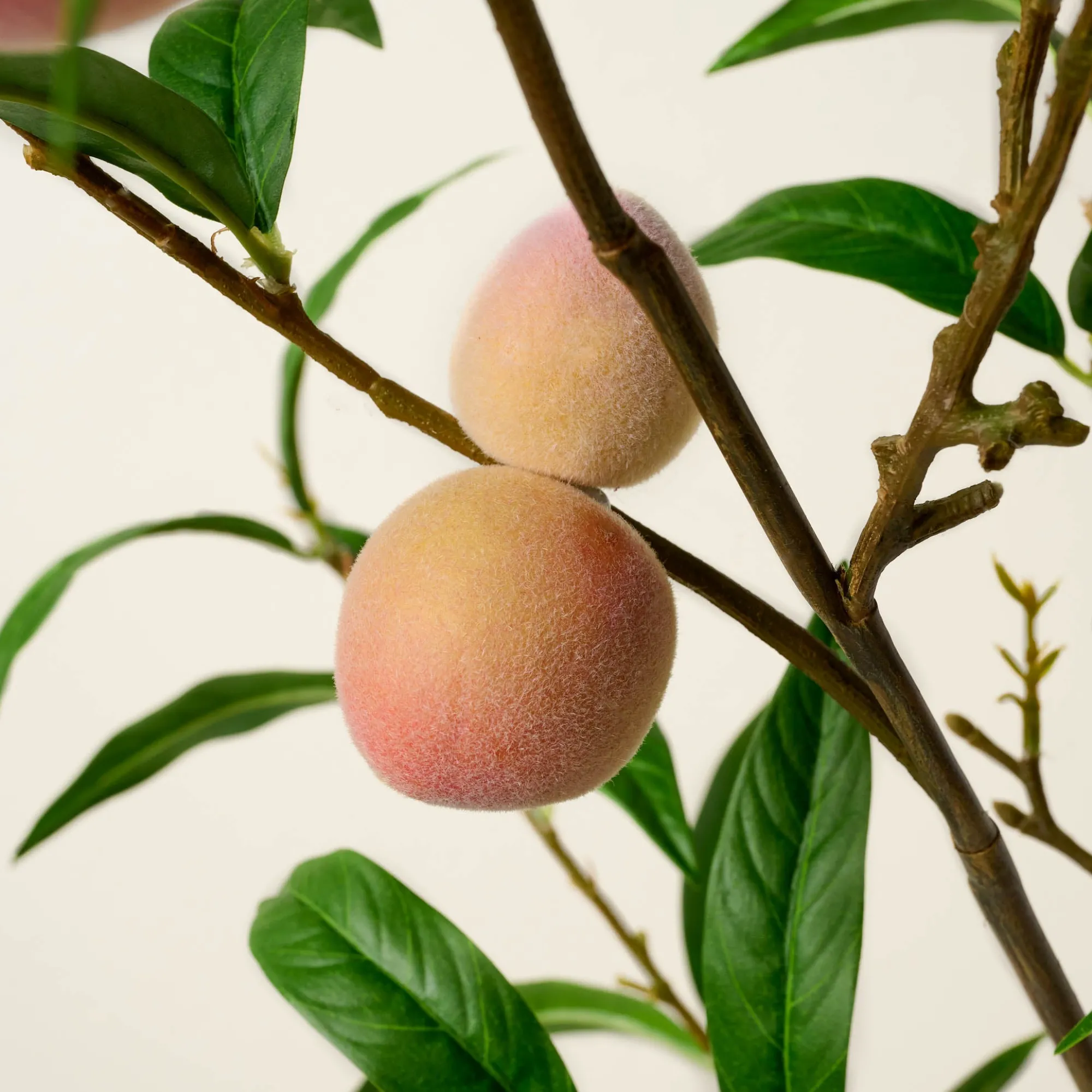 VND7816 UCP INTERNATIONAL CO., LTD Oversized Peach Stem