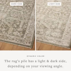 VND0086 Loloi Inc Pace Forrest Natural Rug
