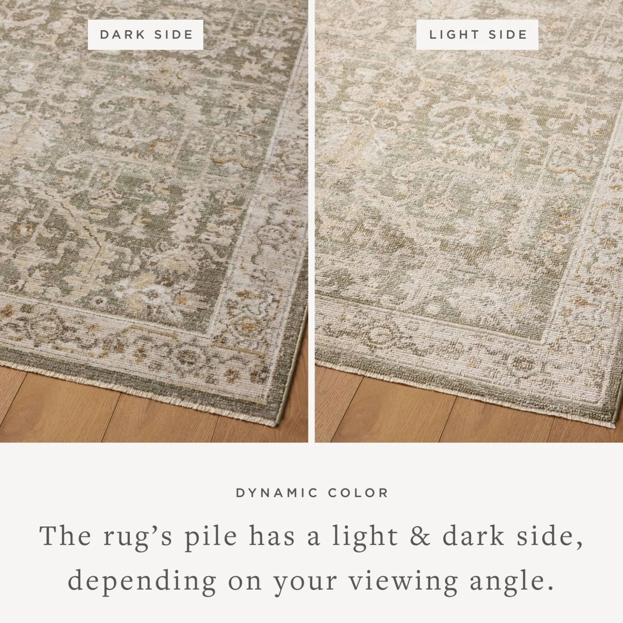 VND0086 Loloi Inc Pace Forrest Natural Rug
