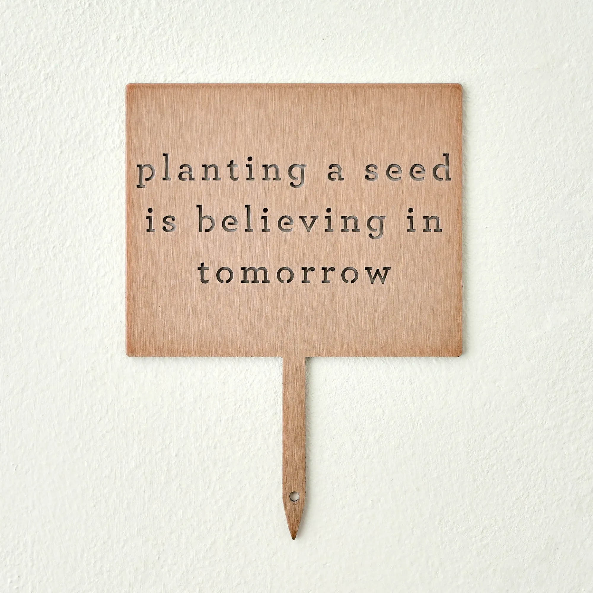 VND0312 JDH Iron Designs LLC Planting A Seed Mini Garden Stake