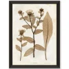 VND6140 Art Headquarters LLC Preserved Plants I