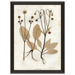 VND6140 Art Headquarters LLC Preserved Plants III