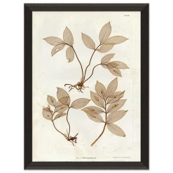 VND6140 Art Headquarters LLC Preserved Plants IV