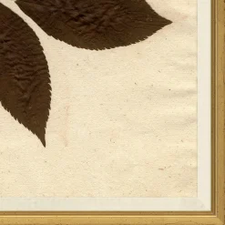 VND6204 Soicher Marin of Florida Pressed Floral I