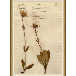 VND6204 Soicher Marin of Florida Pressed Floral III