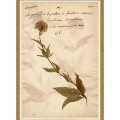VND6204 Soicher Marin of Florida Pressed Floral X