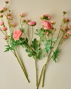 VND0078 K & K Interiors, Inc. Ranunculus Bloom Bundle