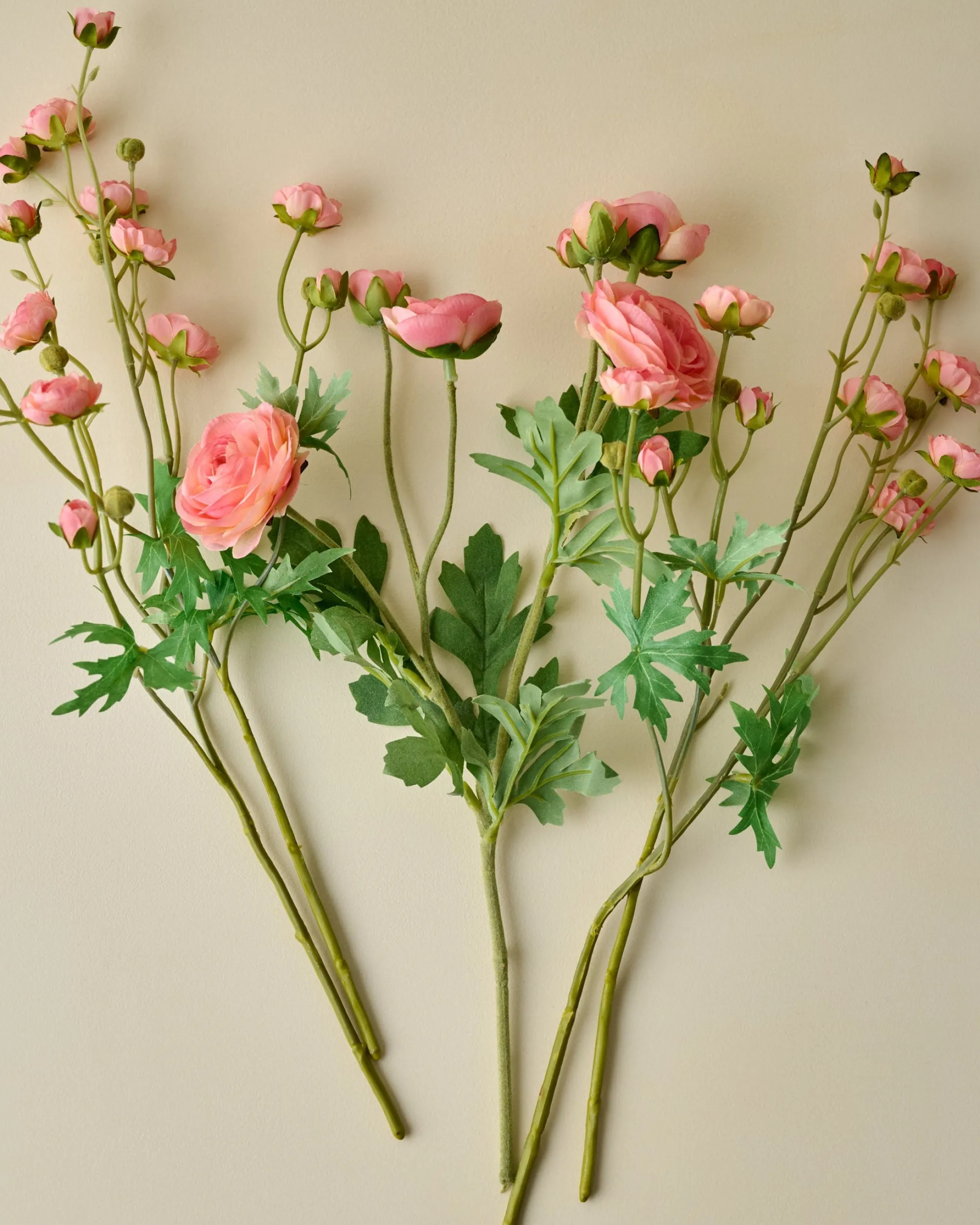 VND0078 K & K Interiors, Inc. Ranunculus Bloom Bundle