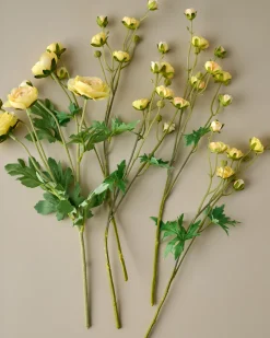 VND0078 K & K Interiors, Inc. Ranunculus Bloom Bundle